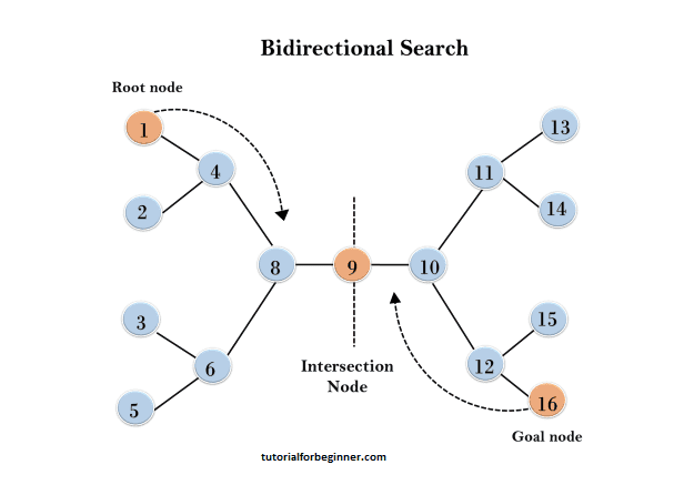 bidirectional search algorithm