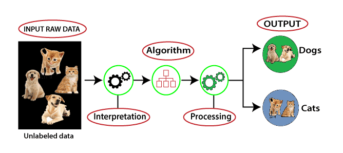 Unsupervised Learning Process