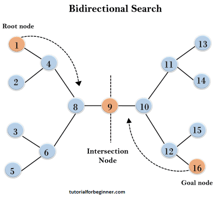 bidirectional search algorithm
