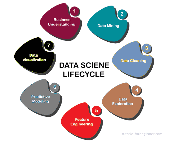 data science vs machine learning 2