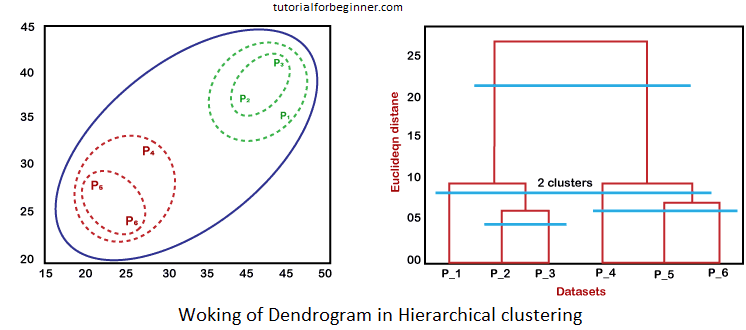 hierarchical clustering in machine learning 10