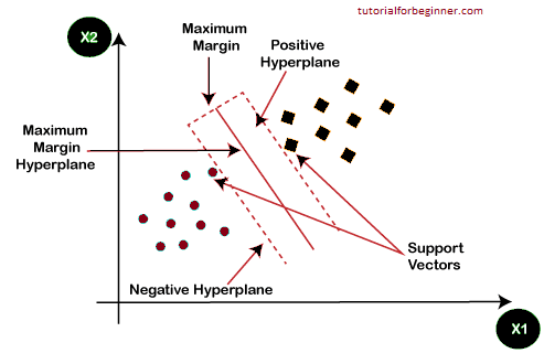 machine learning algorithms3